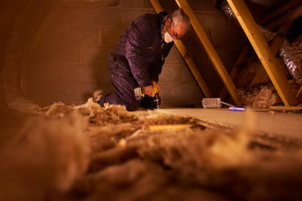 Best Commercial Insulation in Sutherland, NE
